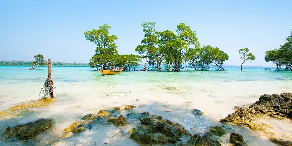 Explore Beautiful Andaman with Zaara Tourism and Travels Banner 3