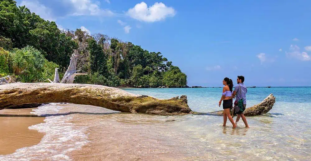 Explore Beautiful Andaman with Zaara Tourism and Travels Banner 4